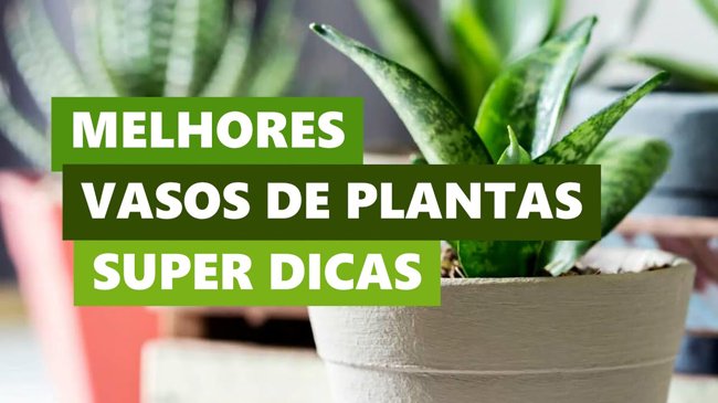 Melhores Ideias Vasos de Plantas