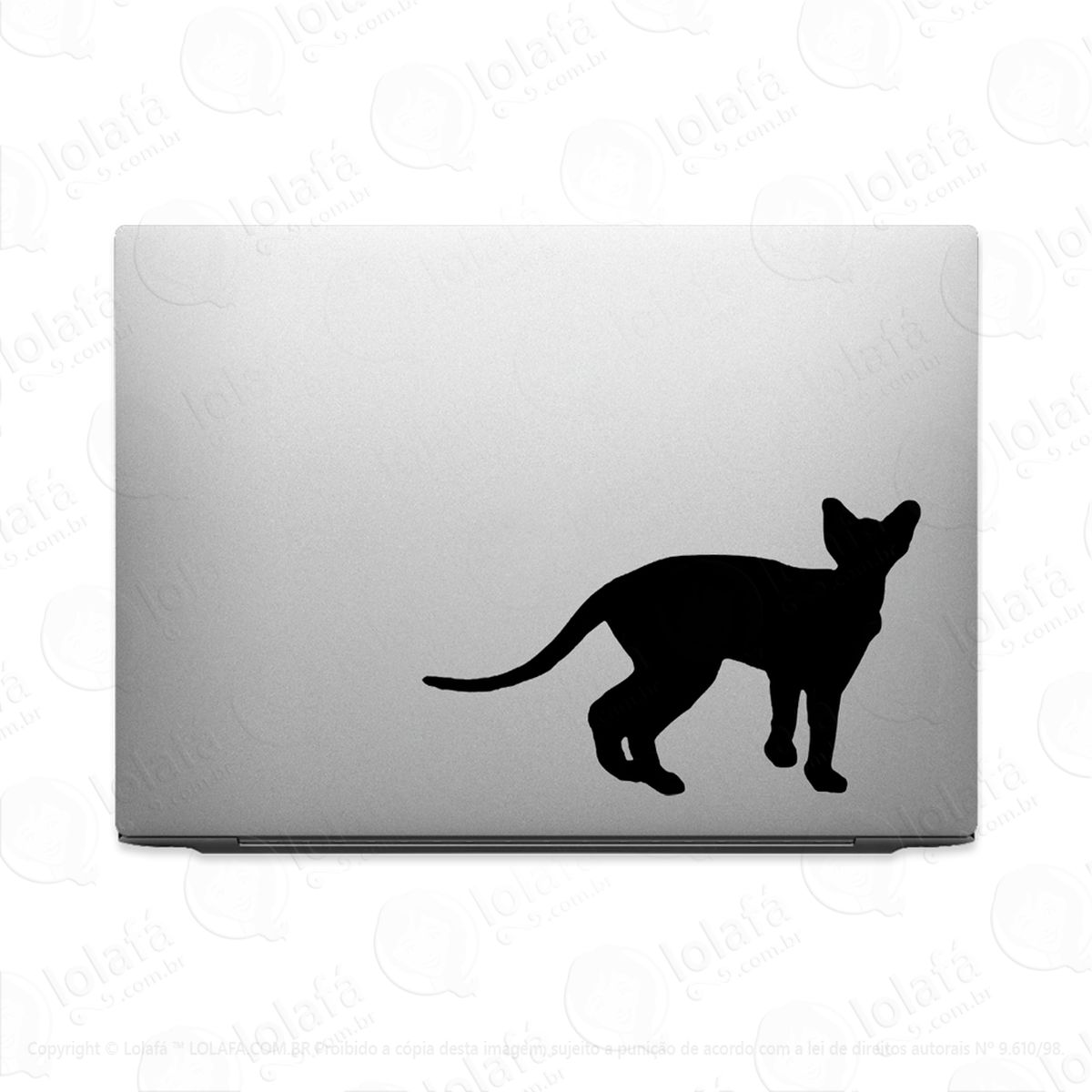 Adesivo Para Notebook Gato Raça Oriental Shorthair Mod:2591