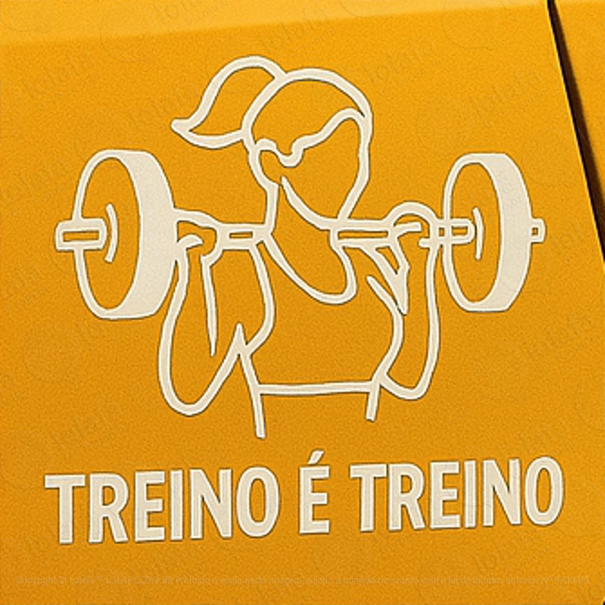 treino é treino academia musculação adesivos para carro mod:98