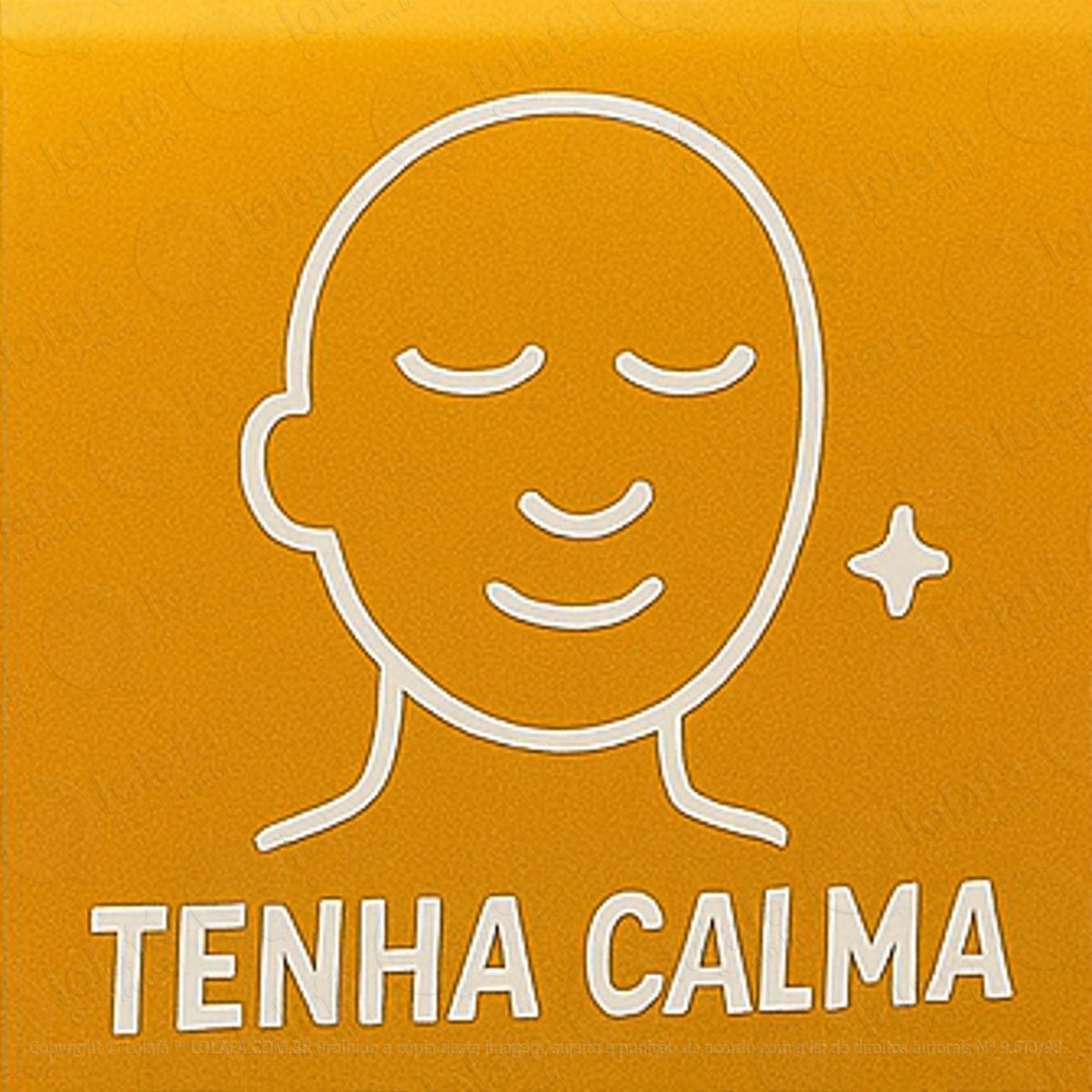 Tenha Calma Adesivos Para Carro Mod:105