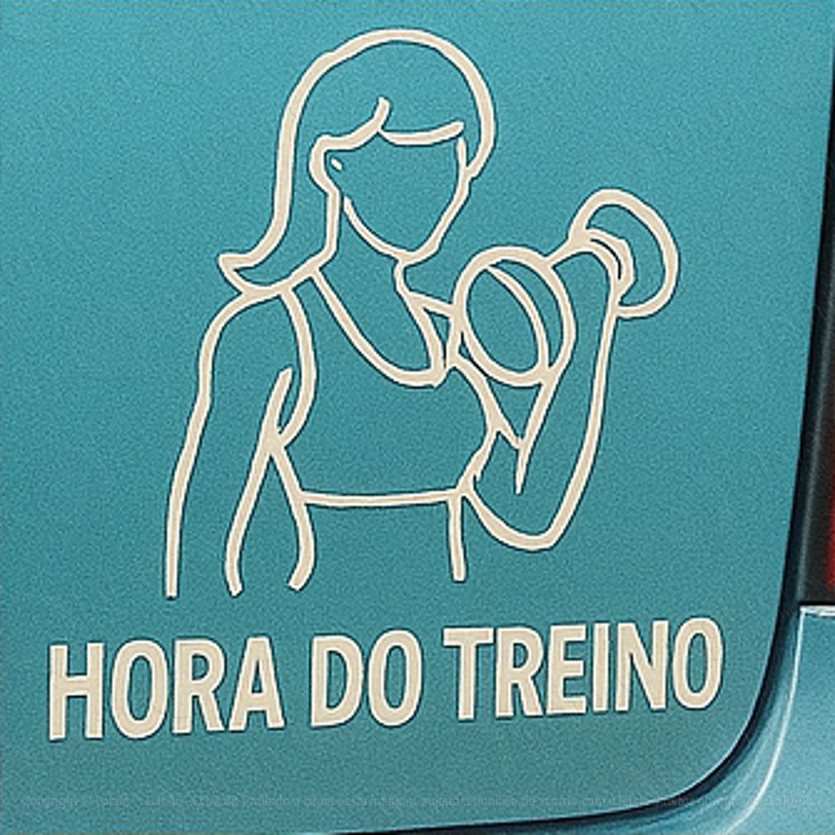 hora do treino musculação academia adesivos para carro mod:252